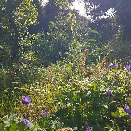 Maison Des Augustines Hotel *