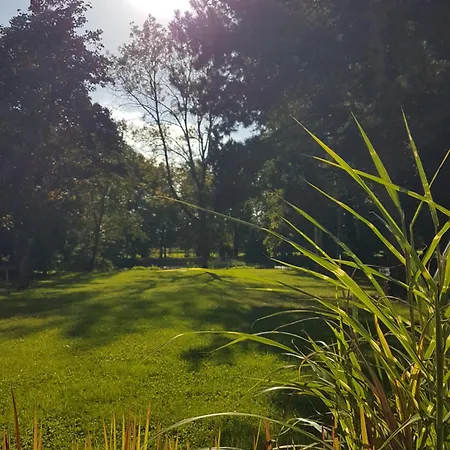 Hotel Maison Des Augustines Saint-Amand-les-Eaux