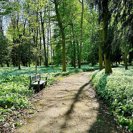Maison Des Augustines Saint-Amand-les-Eaux