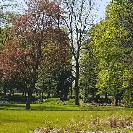 Maison Des Augustines * Saint-Amand-les-Eaux